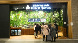 Commerce Horeca Hawaiian Poke bowl